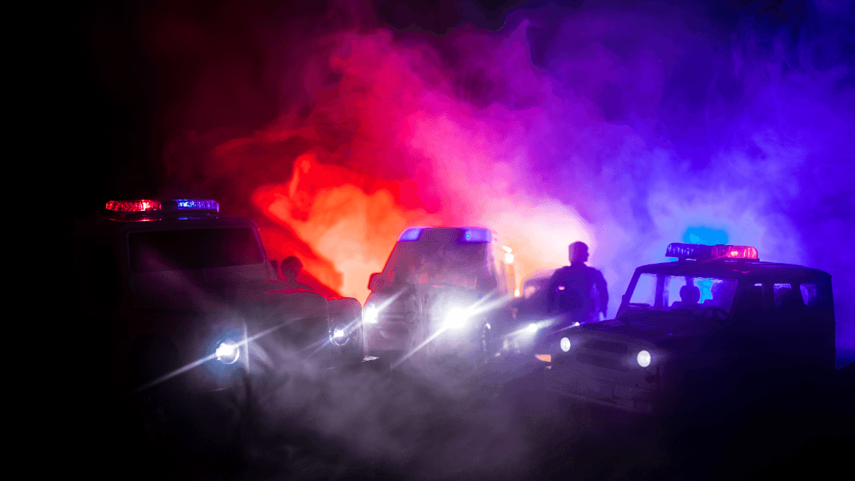 Cover Image for Derby Man Arrested After High Speed Chase and K9 Search in Newport